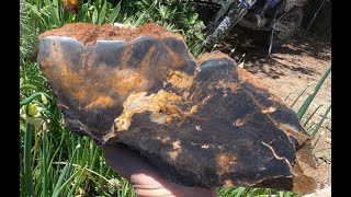 Utah Petrified Wood Collecting and Polishing [upl. by Celle]