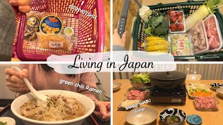 housewife daily of shopping at Daiso Seijyoishii Japan supermarket and shabushabu party 🎶 [upl. by Meek419]