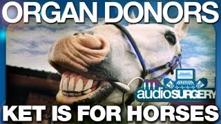 Organ Donors  Ket Is For Horses ORIGINAL VIDEO HD [upl. by Saber943]