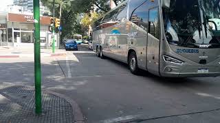 BuquebusLos cipreses SA122Irizar I6S 390 scania K400 [upl. by Zeeba]