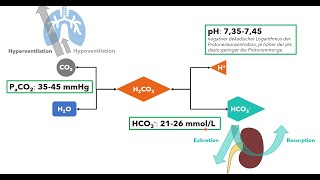 Blutgasanalyse Teil 2  SäureBasenHaushalt Einführung für das Medizinstudium [upl. by Annoif526]