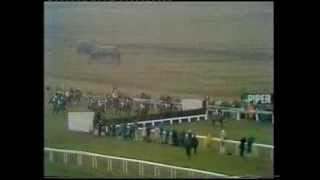 1979 Piper Champagne Cheltenham Gold Cup Chase [upl. by Hickey]