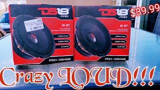 Ds18 Sealed 65 Midrange Speaker Review The LOUDEST 65s I Have Heard YET For How Much [upl. by Kaya]