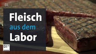 Meat the Future  ein Steak aus dem Labor So sieht das Fleisch der Zukunft aus  BR24 [upl. by Rolfe5]