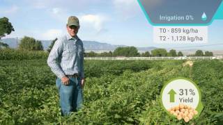 Cytozyme Soybean Irrigation Trial [upl. by Aloisia]