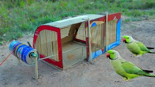 Amazing Unique Parrot Trap Technique Creative Beautiful Small Cage With cans Working 100 [upl. by Plusch]