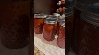 How to make amp can TACO SAUCE 🍅➡️🌮 canning tomato tacos delicious gardening [upl. by Hillel727]