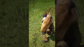 p430 Simulate great survival skills  shorts [upl. by Alleram328]