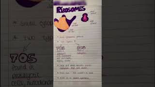 Ribosome biology and physiology  medical 20 [upl. by Drahsir969]