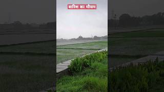 barish ka Mausambarish ka songsavan geet kajarishortsvideo [upl. by Marni241]