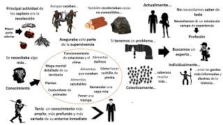 Sapiens De animales a dioses  Resumen animado  Capítulo 3 [upl. by Alakim]