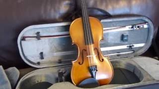 Stentor Graduate Violin Review [upl. by Aeel894]