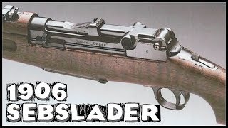 Selbstlader 1906 Shooting In Slow Motion [upl. by Rofotsirk]