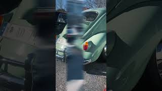 VDUB vdub volkswagen bug slammed dubcity sacked shortvideo trending [upl. by Aran25]