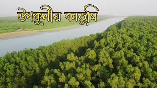 Nature and Life  Episode 352 উপকুলীয় বনভূমি  Coastal Afforestation [upl. by Sigler324]