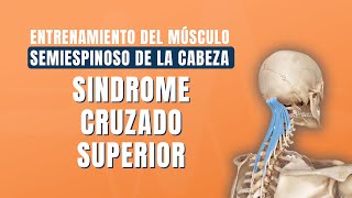 Entrenamiento del músculo semiespinoso de la cabeza en el síndrome cruzado superior [upl. by Hatfield]