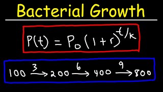 How To Solve Bacteria Growth Math Problems [upl. by Ynez134]