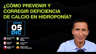 ¿Cómo prevenir y corregir deficiencia de Calcio en Hidroponía [upl. by Oly]