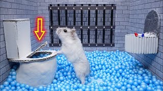 Hamster Escape Prison Maze 🛑Live Stream [upl. by Elamaj]