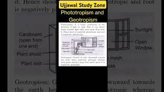 Phototropism and Geotropism ujjawalstudyzone motivation cbse [upl. by Karlene590]