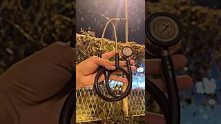 Stethoscope 🩺❣️😊medicomotivation motivationalshortshortvideotrendingviralvideoneetmotivation [upl. by Pantin]