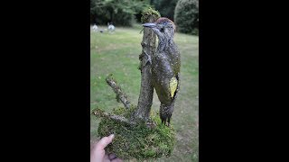 Green woodpecker  Taxidermy the simple way [upl. by Hanavas]