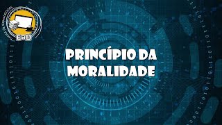 16  Princípio da Moralidade [upl. by Nakah]