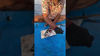 കേരത്തല വെട്ടിയാലോ shortsfeed fishingmalayalam malayalamfishingvideo fishing fishingshorts [upl. by Marcellus598]