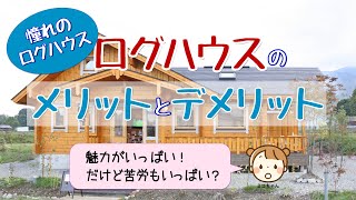 ログハウスのメリットとデメリットを徹底調査！【憧れのログハウス】「魅力がいっぱい！だけど苦労もいっぱい？」 [upl. by Anaihsat]