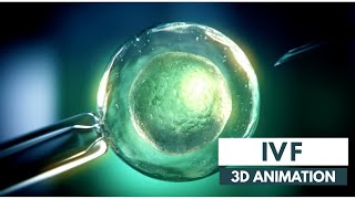 How IVF works  3D Animation [upl. by Luapnaes973]