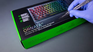 Razer Ornata V2 Keyboard Unboxing  ASMR [upl. by Seeto408]