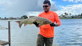 PESCA DE TILAPIAS CON ATERRAYA bassfishing fishing [upl. by Aikaz]