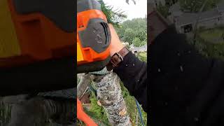 This Tree Removal Took SKILL treeworker [upl. by Eseret]