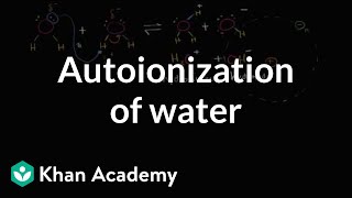 Autoionization of water  Water acids and bases  Biology  Khan Academy [upl. by Whitford]