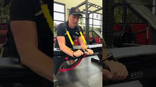 Hockey  Seated Forearms  Caerus Strength Trainer [upl. by Atnohsal]