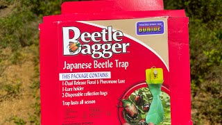 Get rid of Japanese 🪲 Beetles The Beetle Bagger [upl. by Marsden388]