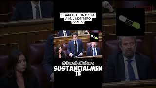 FIGAREDO CONTESTA A MJ MONTERO OPINA vox psoe españa amnistía capcut ps ytshorts [upl. by Koslo896]