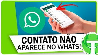 Contato não aparece no WhatsApp APRENDA RESOLVER [upl. by Anolahs]