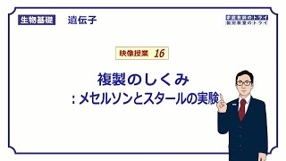 【生物基礎】 遺伝子16 メセルソンとスタールの実験 （１３分） [upl. by Lindie]