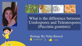 Difference between Uredospores and Teleutospores l Puccinia graminis l UPSC Botany l [upl. by Nivlag871]