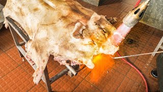 AMAZING Chinese Food in South China  WHOLE Pig Cooking  Crispy Roast BBQ Whole Pig HOG [upl. by Eeryt]