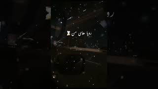 turkiesh song Sozlerin song farsi subtitles status🖇🤍afghan turkish video viralshorts status [upl. by Philipa]