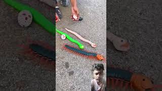 Remote control troy rcsnake fishing fish snake experiment toys ruhulshorts unboxing [upl. by Tiebout898]