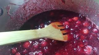 Making Cranberry Sauce  for pantry [upl. by Reyem]