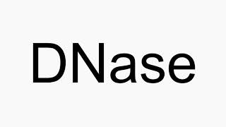 How to pronounce DNase [upl. by Desai]