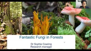 Fantastic Fungi [upl. by Imotas]