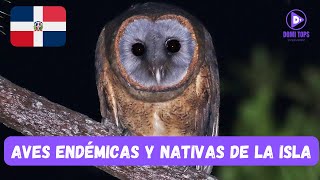 TOP 10 AVES ENDÉMICAS Y NATIVAS DE REPÚBLICA DOMINICANA [upl. by Akcemat]