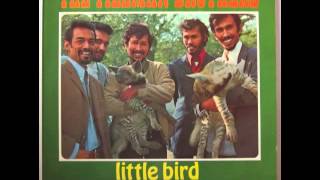 Tielman Brothers  Little Bird [upl. by Reffinej]