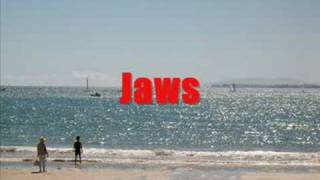 Jaws  Main Theme [upl. by Aynnek346]