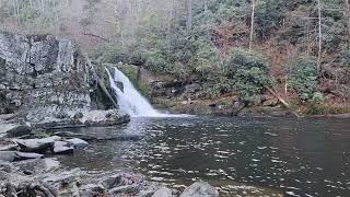 Abrams Falls Fall Hike Back to Cades Cove Loop 11 08 24 [upl. by Brie]